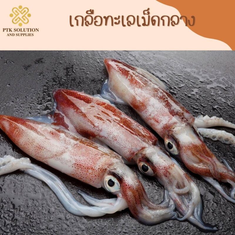 เกลือทะเลเม็ดกลาง วัตถุดิบธรรมชาติที่จำเป็นต่อร่างกายและการปรุงอาหาร เลือกใช้ เกลือทะเลเม็ดกลาง] มั่นใจได้ในความสะอาด ปลอดภัย และคุณภาพ