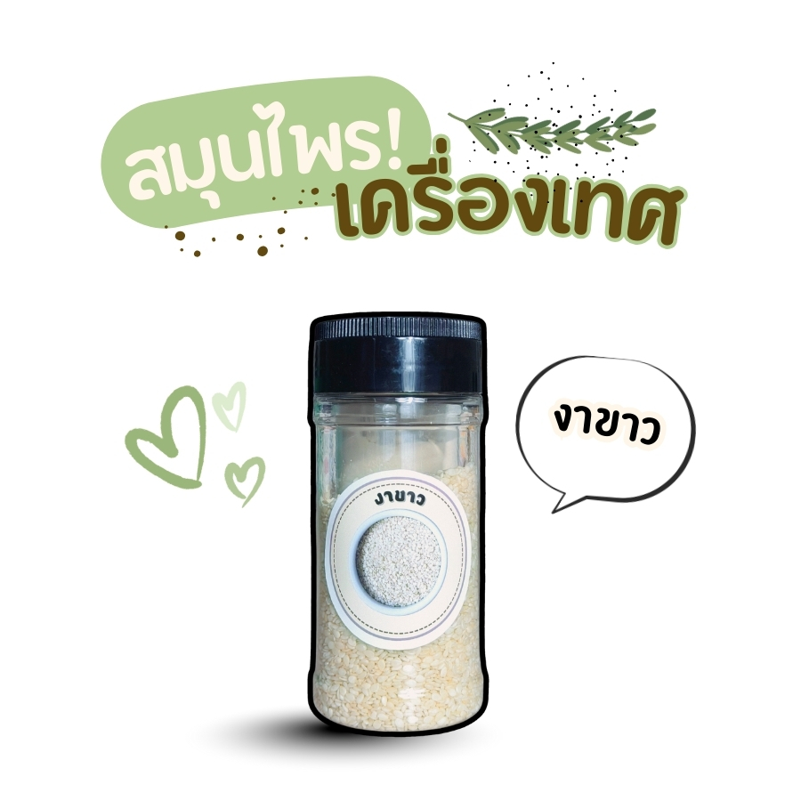 งาขาว แบบกระปุก PTKss งาขาวเป็นธัญพืชขนาดเล็กที่มีคุณค่าทางโภชนาการสูงและใช้ทำอาหารได้หลากหลายชนิด ด้วยรสชาติที่เป็นเอกลักษณ์และความหอมที่เป็นธรรมชาติ ทำให้งาขาวเป็นวัตถุดิบที่ได้รับความนิยมอย่างแพร่หลายในหลายวัฒนธรรมอาหาร